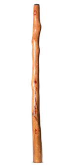 Natural Finish Didgeridoo (TW1796)
